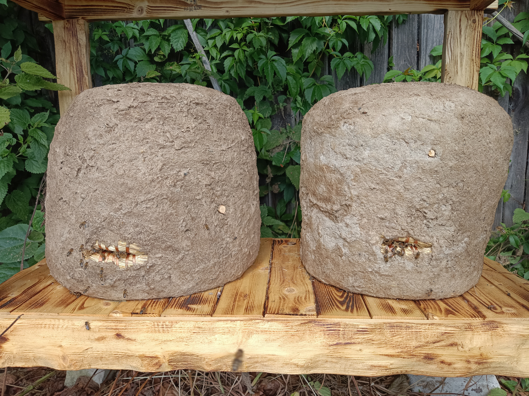 Ule pszczele – bezpieczne przenoszenie rojów